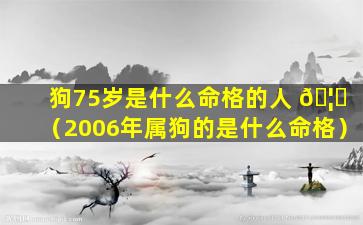 狗75岁是什么命格的人 🦋 （2006年属狗的是什么命格）